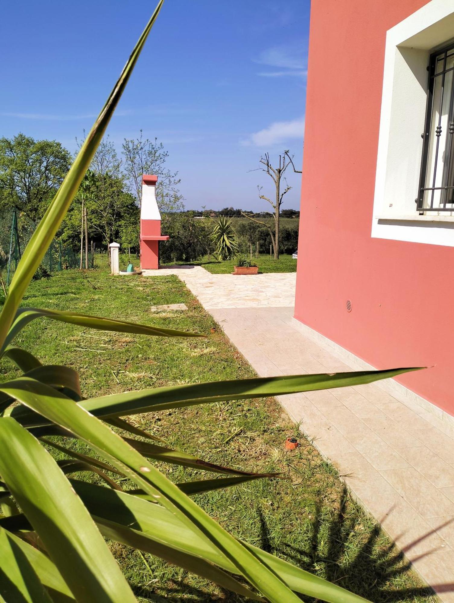 Villetta Fedora Immersa Nel Verde Cecina  Exterior foto